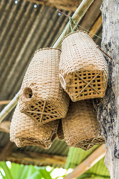 herramienta para disfrutar de un punto - eel trap fotografías e imágenes de stock