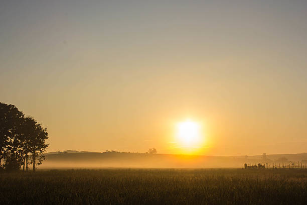 istock sunrise on the rice field 496848144