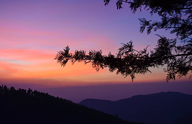 Yercaud Pictures | Download Free Images on Unsplash