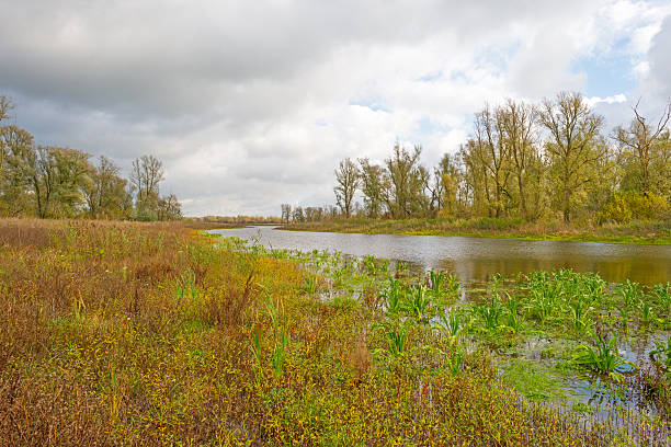 istock Shore of a lake below a blue cloudy sky 496849518