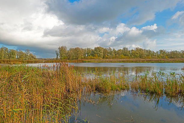 istock Shore of a lake below a blue cloudy sky 496850038