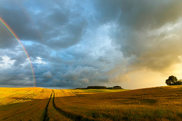 campos arco-íris e pôr-do-sol no norte de portugal. - pomerania - fotografias e filmes do acervo