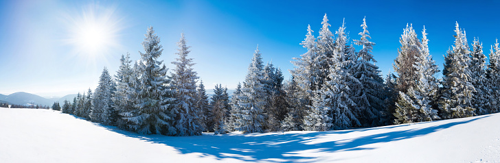 Stunning background panorama of snowy frozen landscape snowscape with blue sky and trees in winter in Black Forest Germany Europe - Winter wonderland