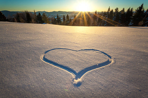 symbole de l'amour - winter sunset sunrise forest photos et images de collection