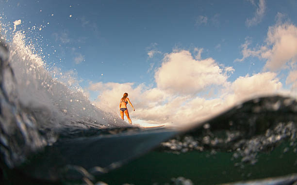 istock The girl with surf at sunrise. 496852357