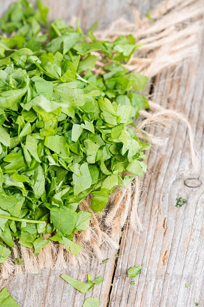 istock Fresh made portion of Parsley 496853087