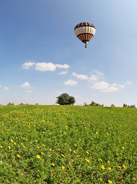 istock The  huge field and multicolored balloon 496853841