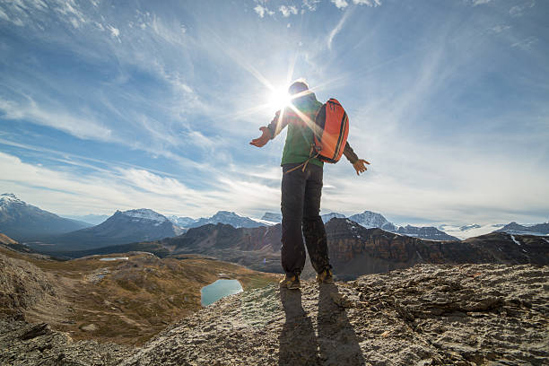 istock Cheering man celebrating on mountain top 496855360