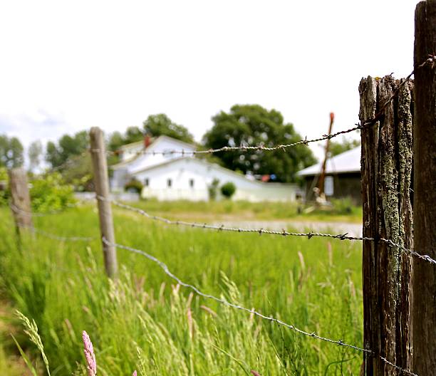 istock Country fence 496855599