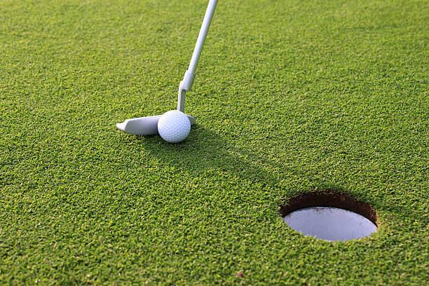 istock Image of golfer putting ball into hole at golf course 496855715