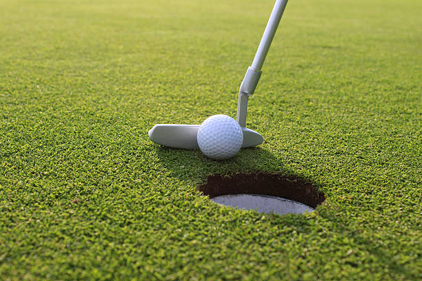 istock Image of golfer putting ball into hole at golf course 496855719