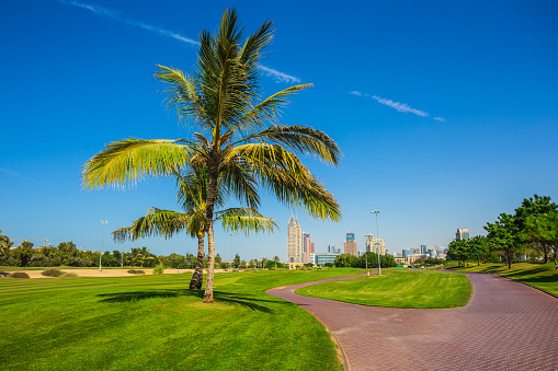 DUBAI, UAE - NOVEMBER 11: High rise buildings and streets nov 11. 2013  in Dubai, UAE. Dubai was the fastest developing city in the world between 2002 and 2008.