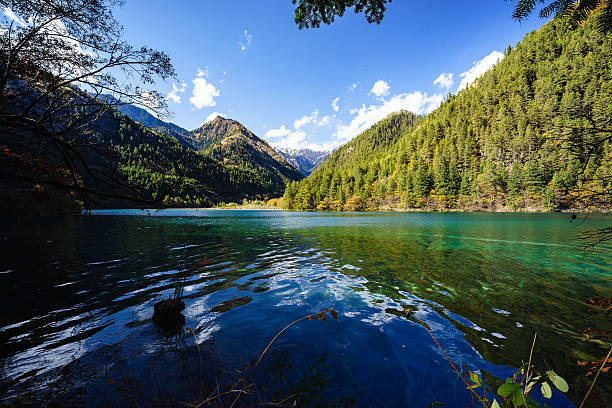istock Autumn Color, Beautiful Landscape 496856304