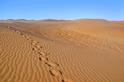 Waves of orange sand on top of the dunes.Dunes in the desert.Arid desolate landscape.Footprints in the sand.Structure of waves in the desert sand.