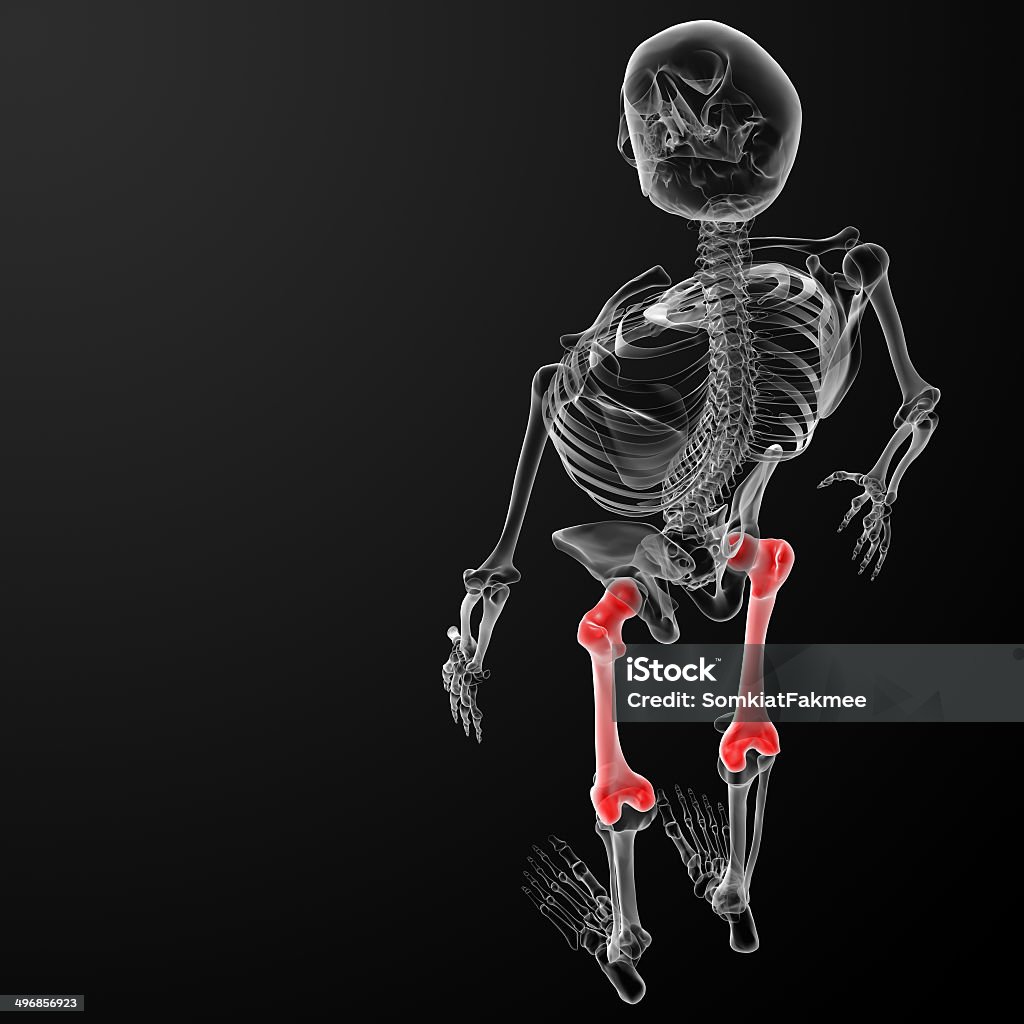 3 d illustration-femur bone aus - Lizenzfrei Anatomie Stock-Foto