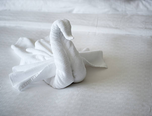 Towel Animal Stock Photos, Pictures & Royalty-Free Images - iStock Towel Animal Stock Photos, Pictures & Royalty-Free Images - iStock