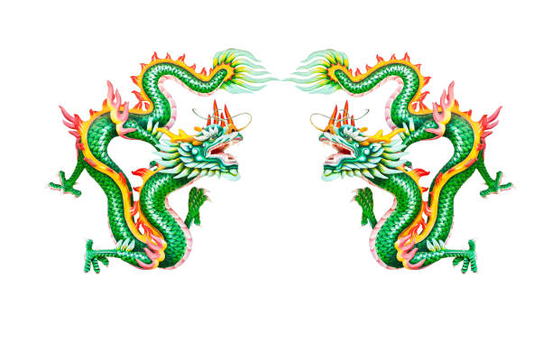 istock Colorful twin green dragon isolated on white background 496858143