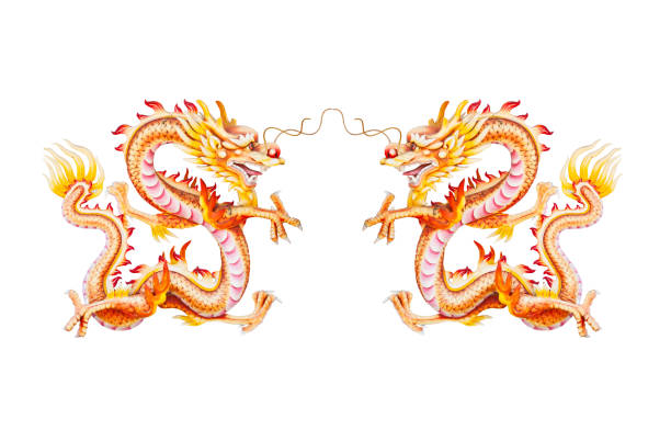 istock Colorful twin red dragon isolated on white background 496858147