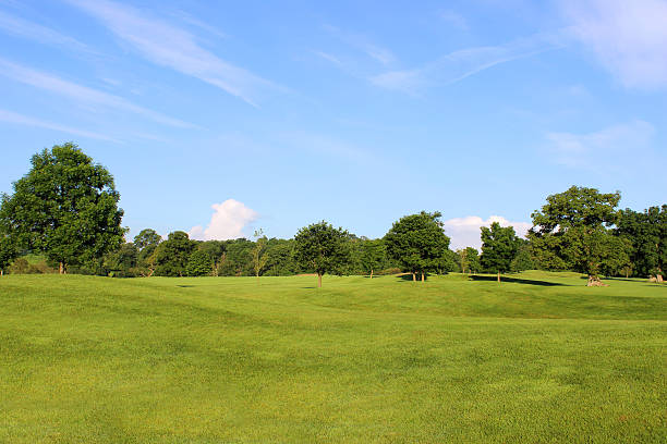istock Golf course with green grass, trees, sandy bunkers, hazards, sky 496858425