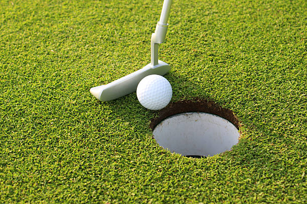 istock Image of golfer putting ball into hole at golf course 496859325