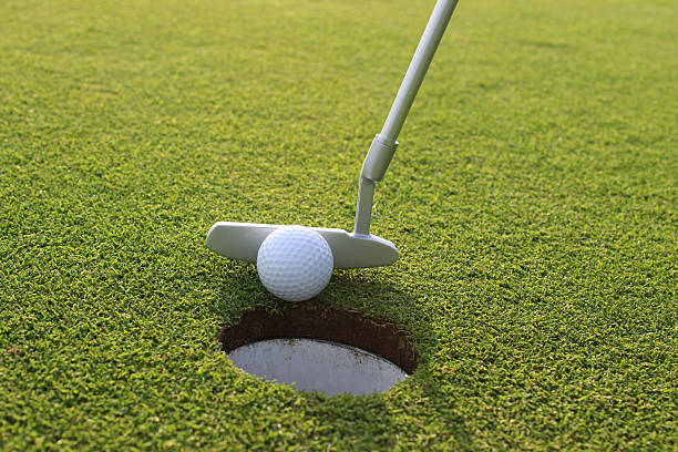 istock Image of golfer putting ball into hole at golf course 496859327
