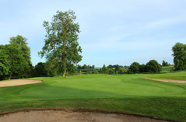 istock Golf course with sandy bunker trap, trees and putting green 496859567