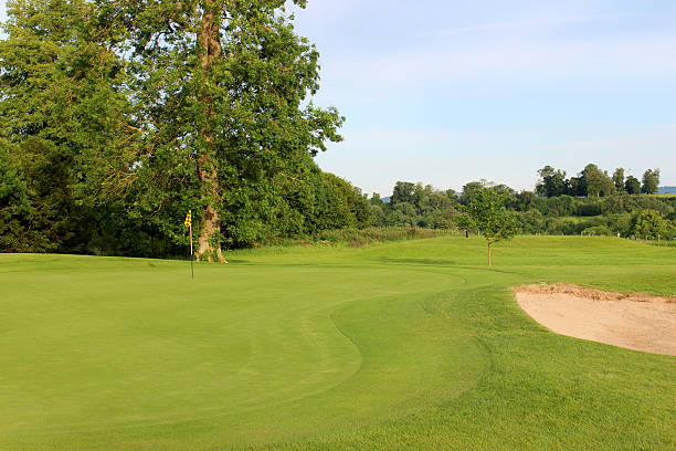 istock Golf course with sandy bunker trap, trees, putting green, flag 496860065