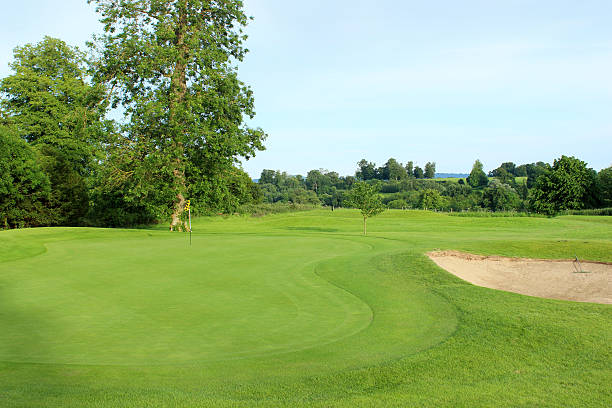 istock Golf course with sandy bunker trap, trees, putting green, flag 496860069