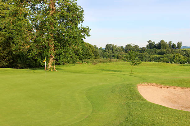 istock Golf course with sandy bunker trap, trees, putting green, flag 496860071