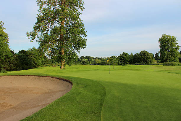 istock Golf course with sandy bunker trap, trees, putting green, flag 496860075