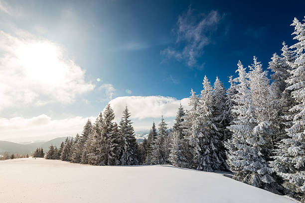 istock Summy Day in Carpathian Mountains 496861884