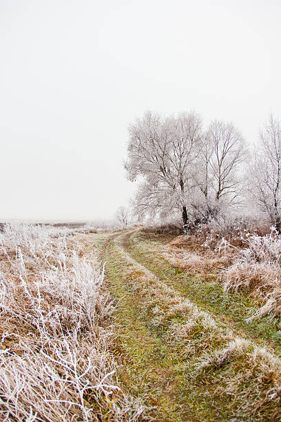 istock frozen road in the frosty morning 496862000