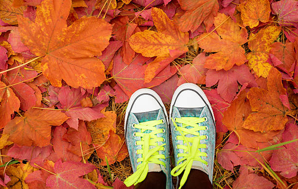 istock Female with keds standing in the leafs 496862006