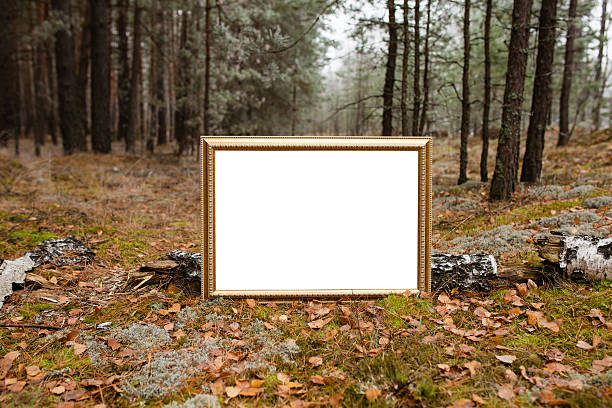 il cartello con la foresta sullo sfondo - хвоя foto e immagini stock