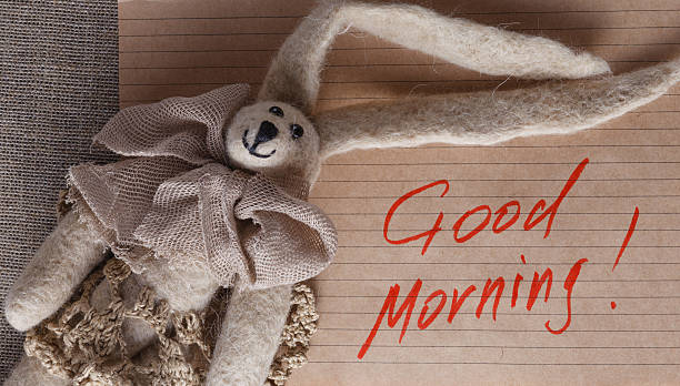 istock Felt doll on background with space for you message 496874808