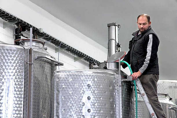 istock Production of wine in winery 496876904