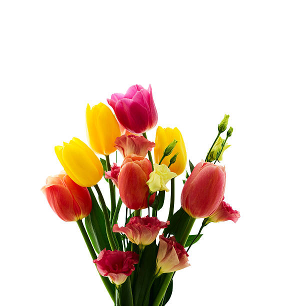istock Colorful spring flowers bouquet tulips end eustoma 496877463