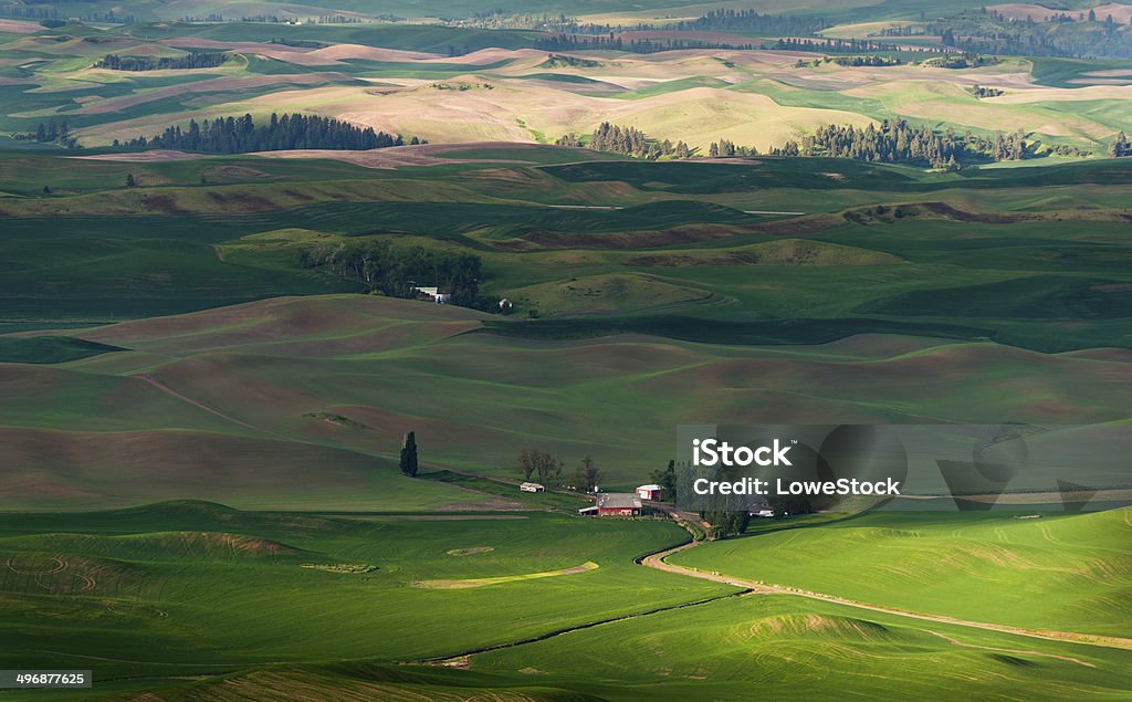 Parque estatal de Steptoe Butte. - Royalty-free Agricultura Foto de stock