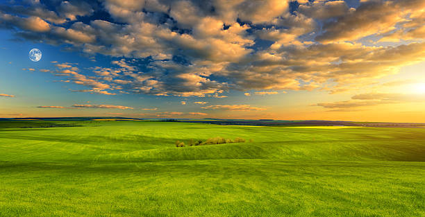 istock Agricultural land in evening 496877655