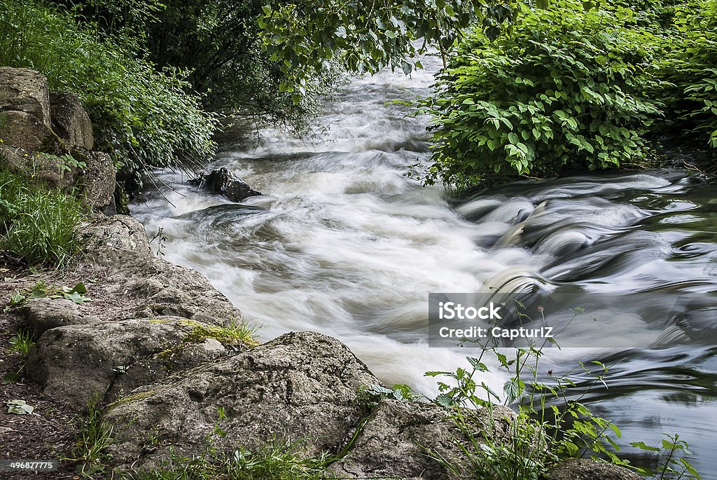 Fleuve et rivière et torrent, forêt, Clécy, Normandie, France - Photo de Arbre libre de droits