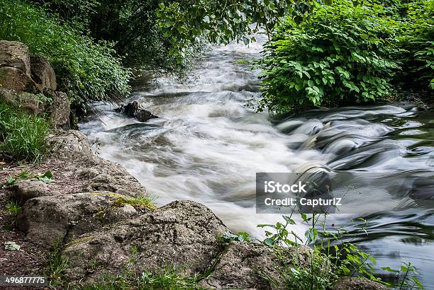 Photo libre de droit de Fleuve Et Rivière Et Torrent Forêt Clécy Normandie France banque d'images et plus d'images libres de droit de Arbre