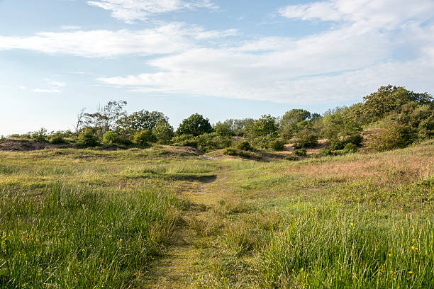 istock blue sky and green grass in nature 496877779
