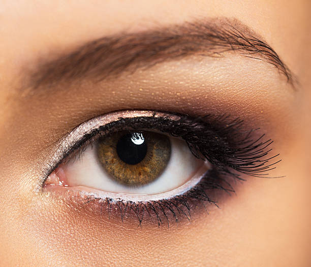 istock Closeup of beautiful eye with glamorous makeup 496878237