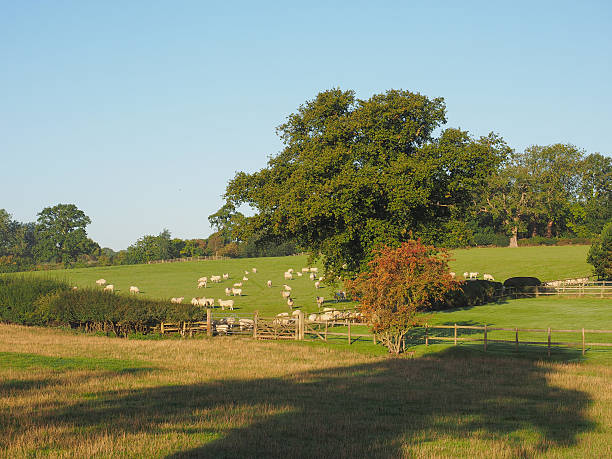 istock View of Tanworth in Arden 496878432