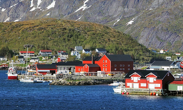 istock Norway village Reine with red house 496878847
