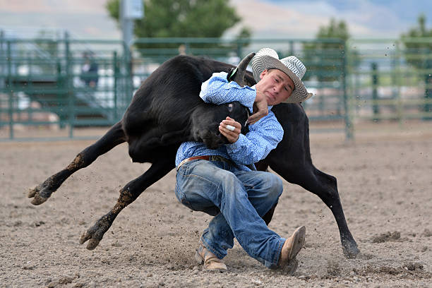 joven vaquero lucha con novillos - jugar a luchar fotografías e imágenes de stock