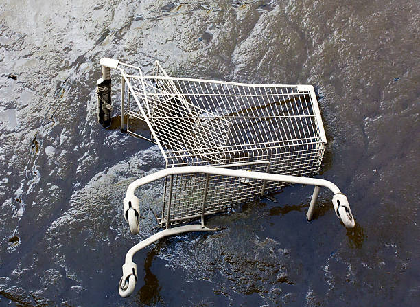 istock Shopping trolley on river bottom in the mud 496879623