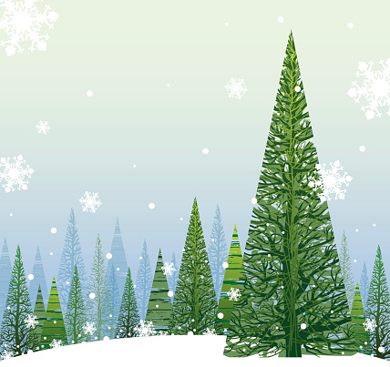 Elegant and beautiful Vector Illustration of a Winter Christmas Background with copy space for your message.