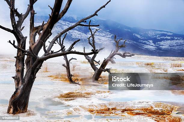 Parque Nacional De Yellowstonefonte Termal Mammothabril De 2008 - Fotografias de stock e mais imagens de  Fonte termal Mammoth