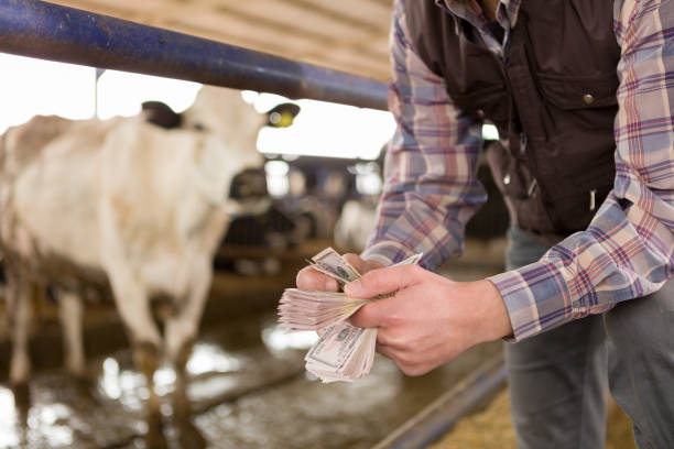 nông dân và đô la - livestock tariffs hình ảnh sẵn có, bức ảnh & hình ảnh trả phí bản quyền một lần
